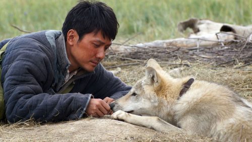 دانلود زیرنویس فارسی فیلم Wolf Totem 2015