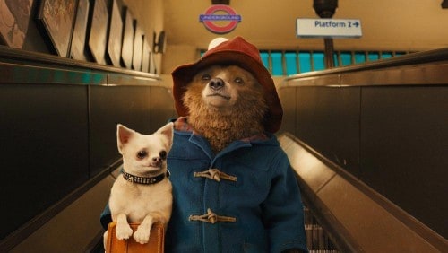 دانلود فیلم Paddington 2014 با کیفیت فول اچ دی