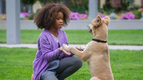 دانلود فیلم Annie 2014