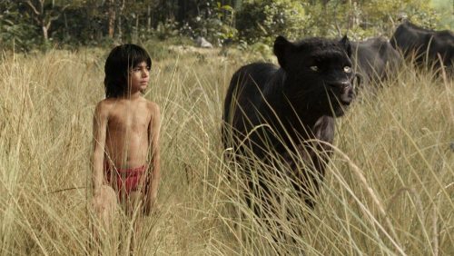 دانلود فیلم کتاب جنگل 2016 با لینک مستقیم