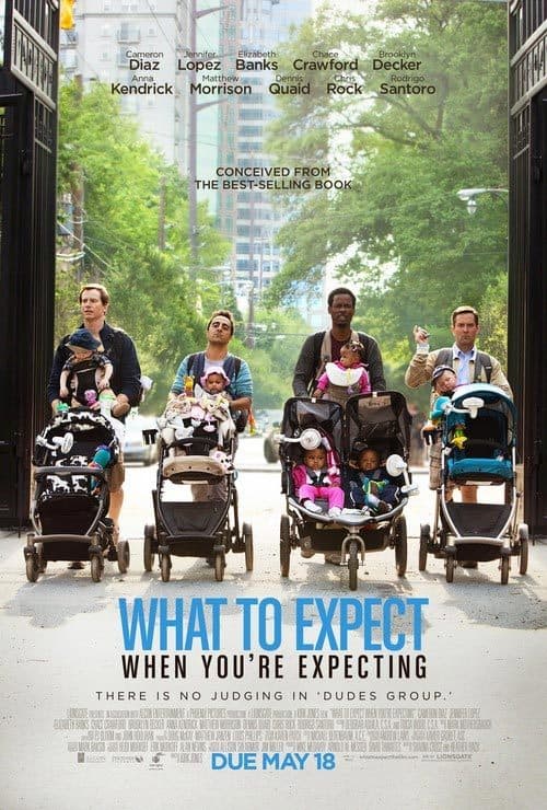 دانلود فیلم What to Expect When You're Expecting 2012