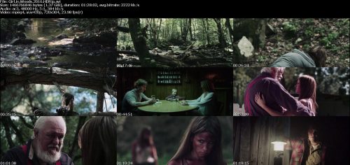 دانلود زیرنویس فارسی فیلم Girl in Woods 2016