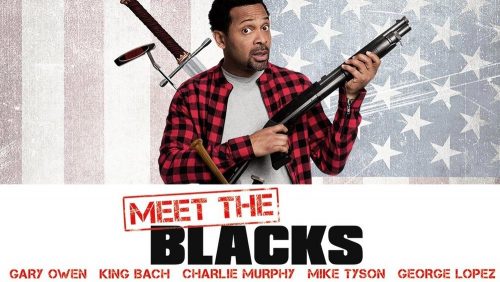 دانلود زیرنویس فارسی فیلم Meet the Blacks 2016