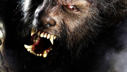 دانلود فیلم The Wolfman 2010 با کیفیت Full HD