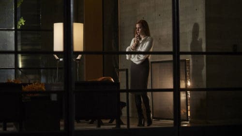 دانلود فیلم Nocturnal Animals 2016 با کیفیت Full HD