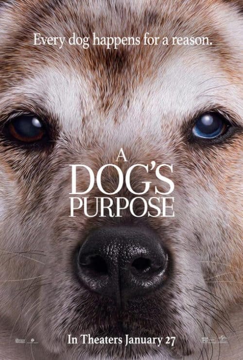 دانلود دوبله فارسی فیلم A Dog's Purpose 2017