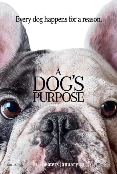 دانلود زیرنویس فارسی فیلم A Dog's Purpose 2017