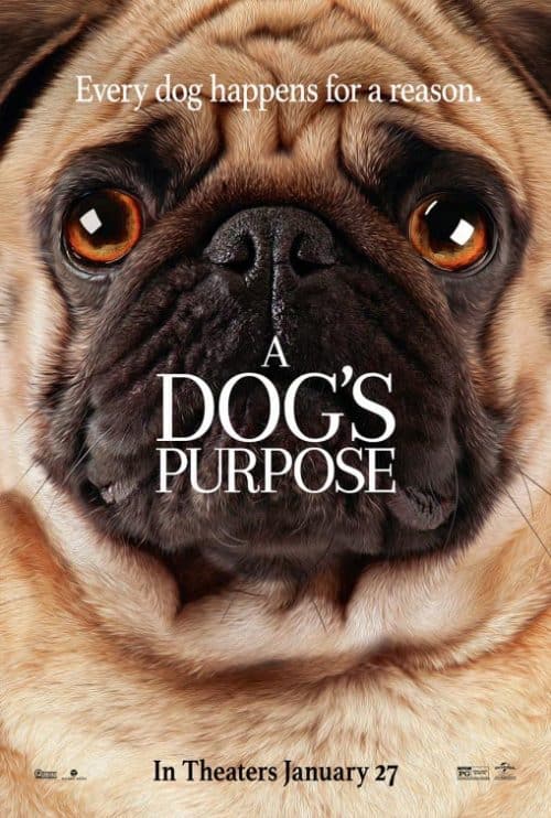 دانلود فیلم A Dog's Purpose 2017 با کیفیت Full HD