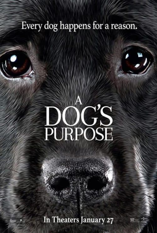 دانلود فیلم A Dog's Purpose 2017 با کیقیت 720p