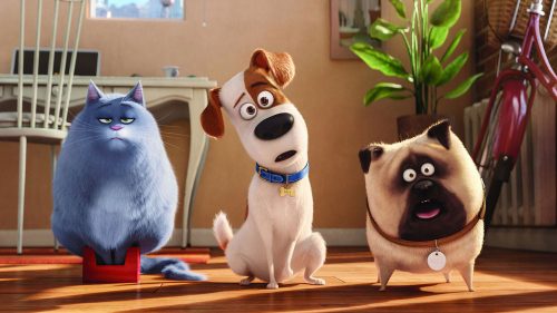 دانلود انیمیشن The Secret Life of Pets 2016 با کیفیت فول اچ دی