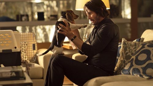 دانلود فیلم John Wick: Chapter 2 2017 با کیفیت Full HD