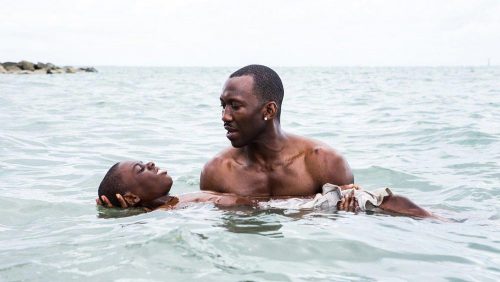 دانلود زیرنویس فارسی فیلم Moonlight 2016