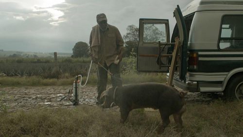 دانلود فیلم Mr. Pig 2016