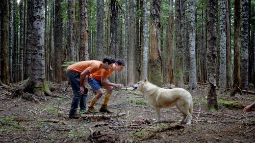 دانلود فیلم Buddymoon 2016 با لینک مستقیم