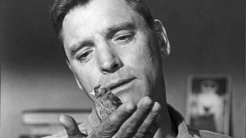 دانلود زیرنویس فارسی فیلم Birdman of Alcatraz 1962