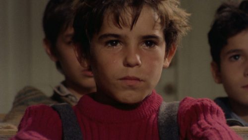 دانلود زیرنویس فارسی فیلم Padre Padrone 1977
