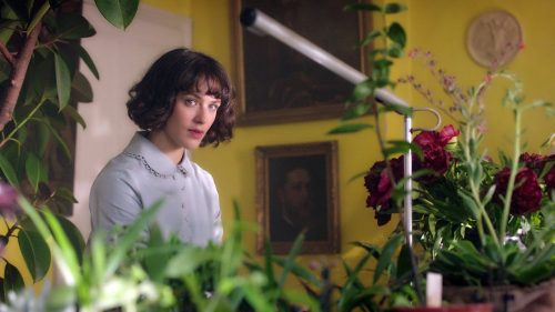 دانلود فیلم This Beautiful Fantastic 2016 با کیفیت فول اچ دی