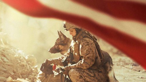 دانلود فیلم Megan Leavey 2017 با لینک مستقیم