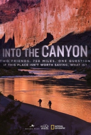 دانلود فیلم Into the Canyon 2019