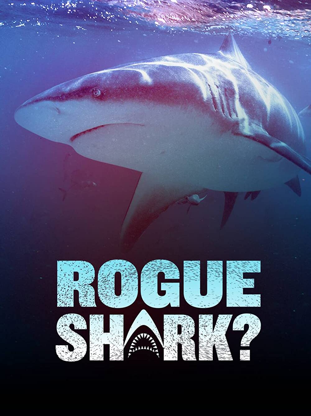 دانلود فیلم Rogue Shark? 2021