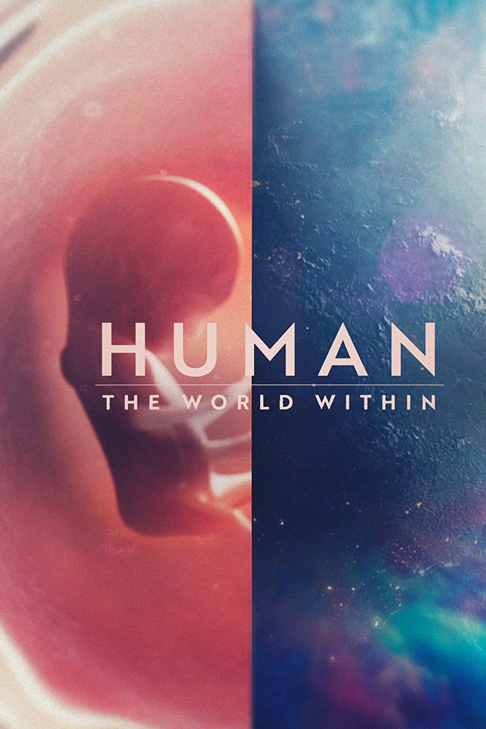 دانلود سریال Human: The World Within