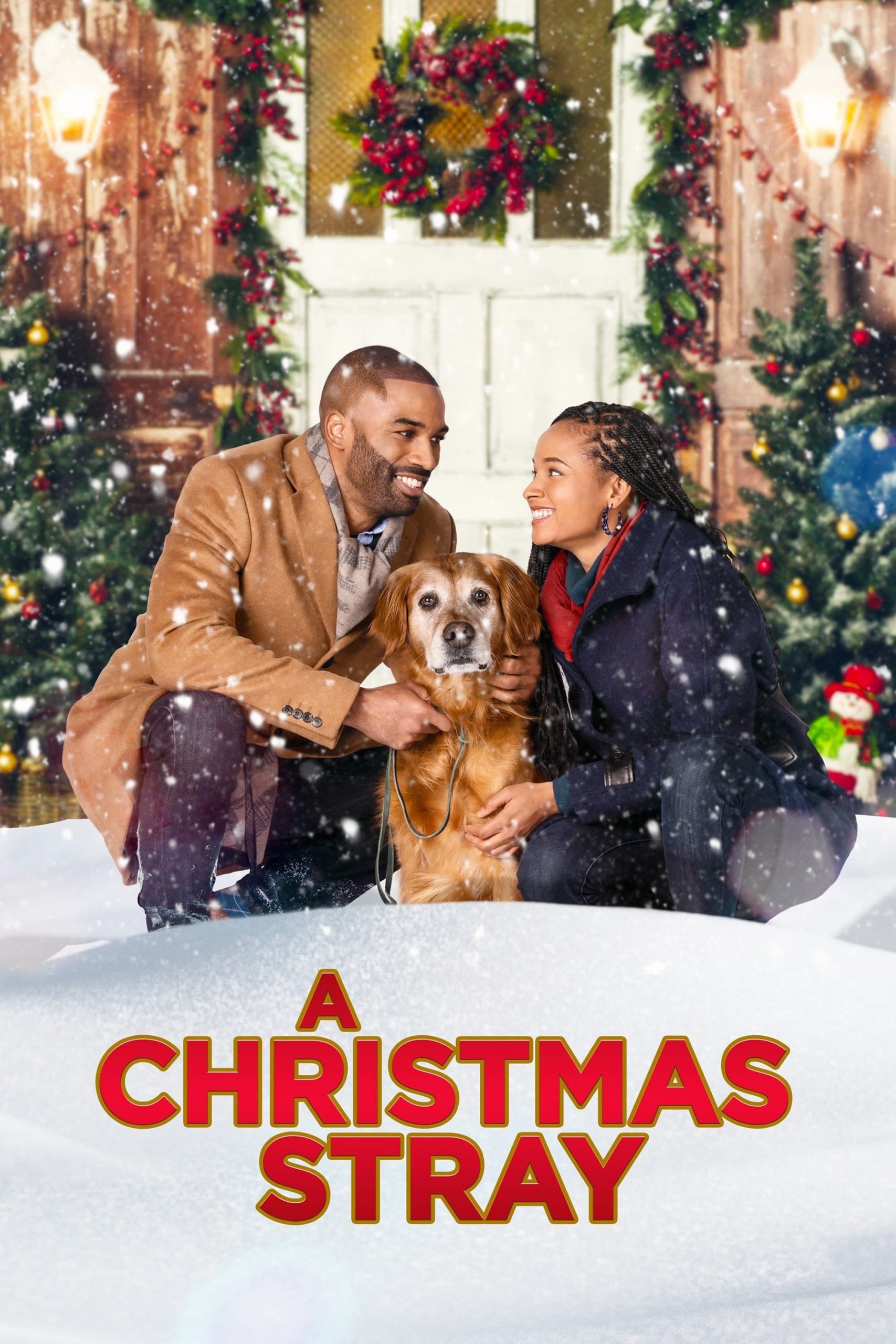 دانلود فیلم A Christmas Stray 2021